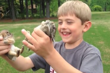 Top 10 ADORABLE BABIES AND RABBIT THAT WILL MAKE YOU FALL IN LOVE| Funny Babies and Pets