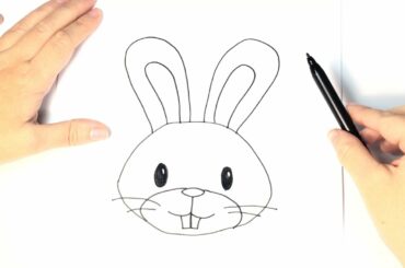 How to draw a Rabbit for Kids