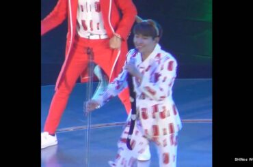 [SHINeeWorldCam] 151025 SWC in Shanghai - how a cute rabbit dances DREAM GIRL