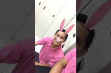 THE TWO RABBIT CUTE