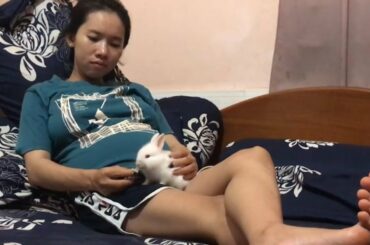 LOVELY SMART GIRL PLAYING CUTE RABBITS AT HOME HOW TO PLAY WITH RABBITS & FEED BABY RABBITS #13