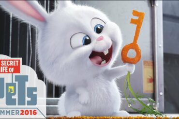 The Secret Life of Pets - Kevin Hart Is Snowball (HD) - Illumination