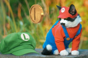Super Mario Cat Bros.