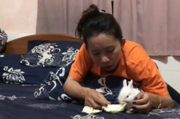 LOVELY SMART GIRL PLAYING CUTE RABBITS AT HOME HOW TO PLAY WITH RABBITS & FEED BABY RABBITS #15