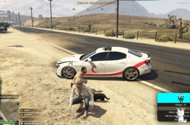 Getting a cute little rabbit and cat.Refill vehicle fuel.