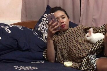 LOVELY SMART GIRL PLAYING CUTE RABBITS AT HOME HOW TO PLAY WITH RABBITS & FEED BABY RABBITS #16