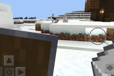 Cute bunny sighting