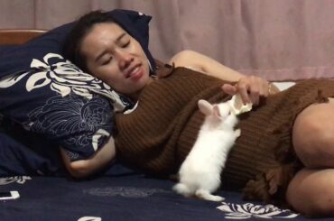 LOVELY SMART GIRL PLAYING CUTE RABBITS AT HOME HOW TO PLAY WITH RABBITS & FEED BABY RABBITS #17