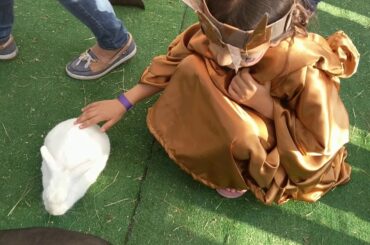 Petting a cute bunny