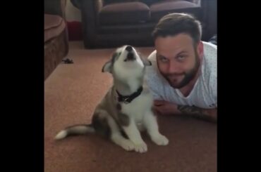 Cute baby animals Videos Compilation cute moment of the animals   Soo Cute! #89