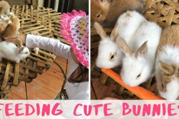 FEEDING CARROTS TO CUTE LITTLE BUNNIES | ANGELICA'S PLAYHOUSE