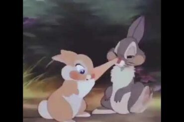 Cute bunnies