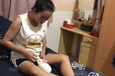 LOVELY SMART GIRL PLAYING CUTE RABBITS AT HOME HOW TO PLAY WITH RABBITS & FEED BABY RABBITS #18