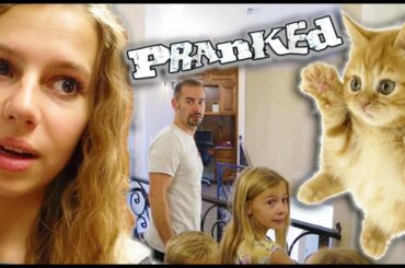 PRANKED My Parents With CUTE BABY KITTEN!