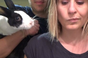 Rabbit eating on fridge cam!