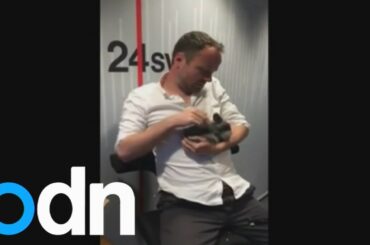 Danish radio DJ kills nine-week-old rabbit live on air