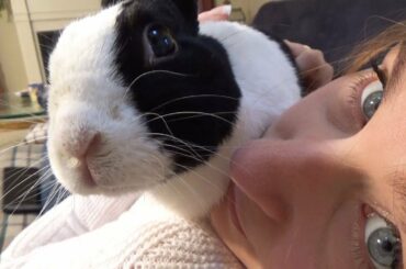 Rabbit petting up close!