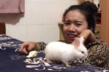 LOVELY SMART GIRL PLAYING CUTE RABBITS AT HOME HOW TO PLAY WITH RABBITS & FEED BABY RABBITS #19