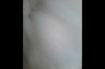 Cute vids of my bunny