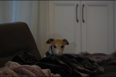 Bunny judging Jenna for 4 minutes straight
