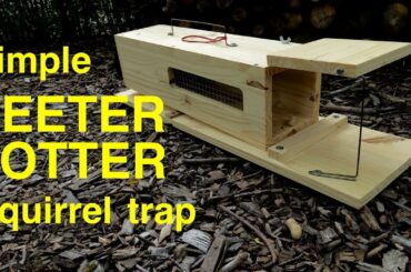 How to make a ●  simple HUMANE TEETER-TOTTER  squirrel trap