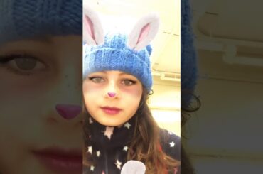 Cute bunny