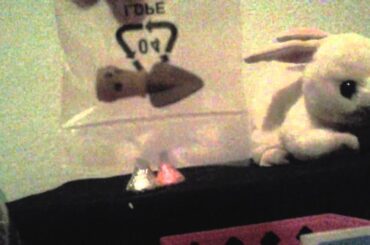 Cute bunny and shopkins!! - Miss Slime!