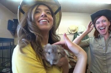 Pokimane Petting Cute Bunny