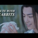 Wei Wuxian and others  - Cute with rabbits