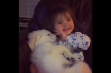 Cute baby animals Videos Compilation cute moment of the animals Cutest Animals #74