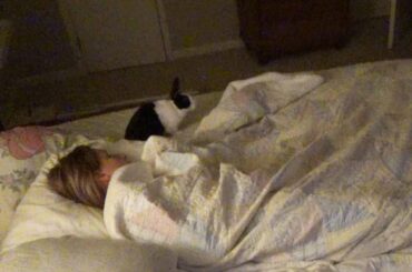 Rabbit wakes up sleeping girl for goodnight kiss!