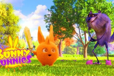 Sunny Bunnies | กระต่ายแดด - Cute Cartoon [EP. 24] Level Up (ยกระดับ) | Cartoons For Kids
