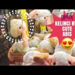 WIN THE  CUTE BUNNY BAG +  MAKE UP  TOOLS | CLAW MACHINE |  夾娃娃