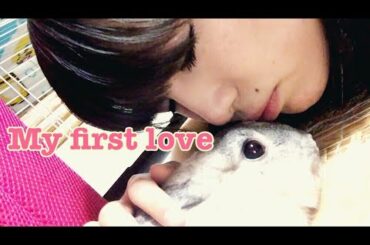 Introducing Usatann THE BOSS!!【bunny】【adorable cute animals】