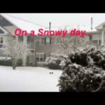 Cute Rabbit goes out in Snow! MUST WATCH!