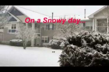 Cute Rabbit goes out in Snow! MUST WATCH!