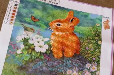 FINISHED 5D DIY Diamond Painting Cute Bunny Partial Round