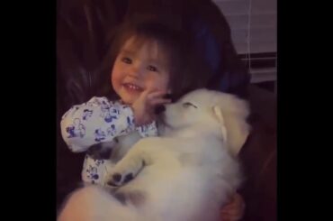 Cute baby animals Videos Compilation cute moment of the animals   Soo Cute! #34