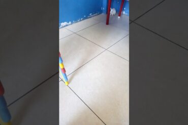 Cute rabbits