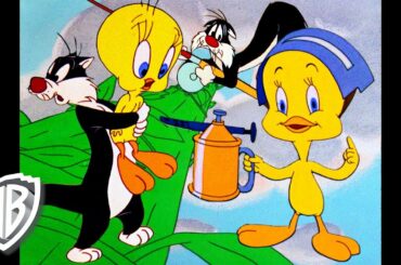 Looney Tunes | Best of Tweety Bird and Sylvester | Classic Cartoon Compilation | WB Kids