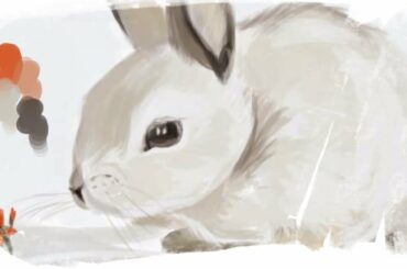 Cute bunny speedpainting - (Happy Easter & Spring)