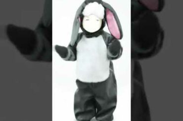 MattyBraps is a cute Bunny.
