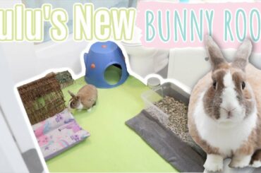 Lulu's New Bunny Room