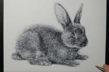 Drawing a Bunny Rabbit / Ballpoint Biro Pen / Scribble Art Therapy / Day 056