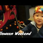 Halloween Weekend |Daddy Baby Play Vlog #3| Baby Meets Bunny First time