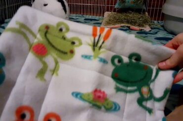 Jinx got the CUTEST GIFT! Etsy Rabbit Haul