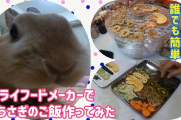 【うさぎ】ドライフードメーカーでご飯作ってみた【かわいい】Cute rabbit  eats dry foods #29