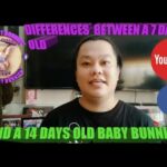 Differences Between A 7 Days Old And A 14 Days Old Baby Bunnies - Bongskie Rabbitry Cebu