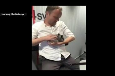 Bunny beaten to death live on Danish radio