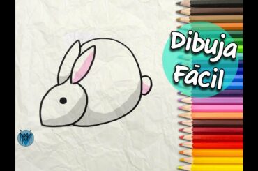 Cómo Dibujar un Conejo / Dibustrador Art